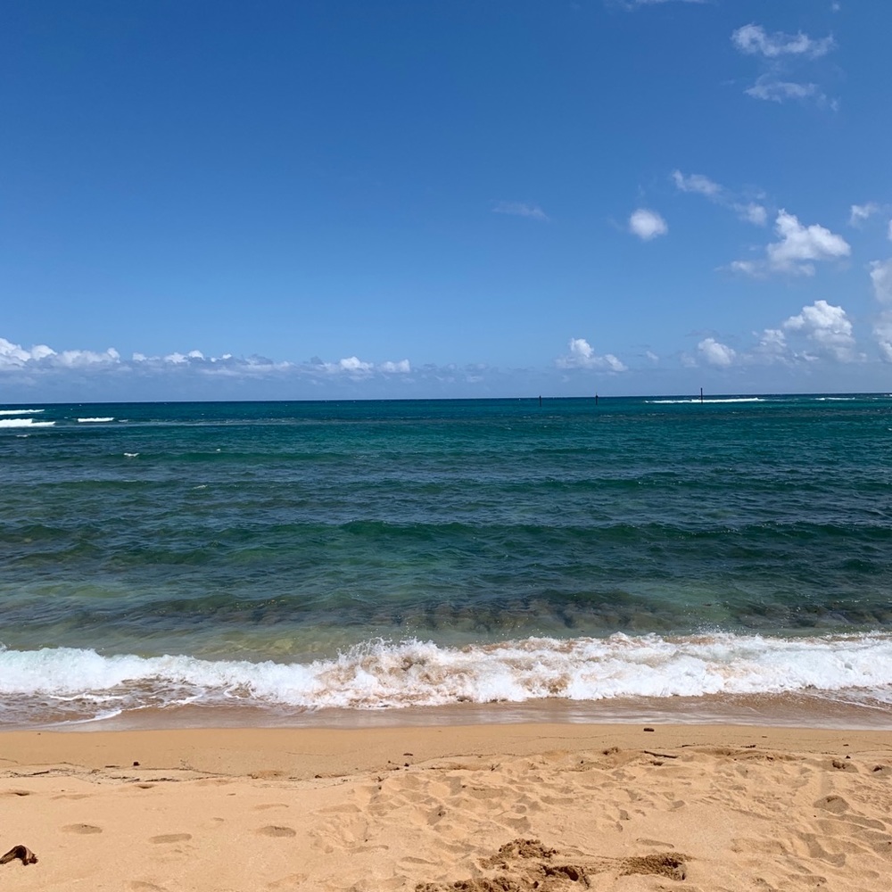 Meet your Posher, Jaidalyn